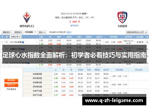 足球心水指数全面解析:初学者必看技巧与实用指南 足球心水指数全面解析:初学者必看技巧与实用指南