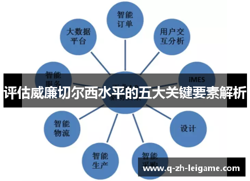 评估威廉切尔西水平的五大关键要素解析 评估威廉切尔西水平的五大关键要素解析